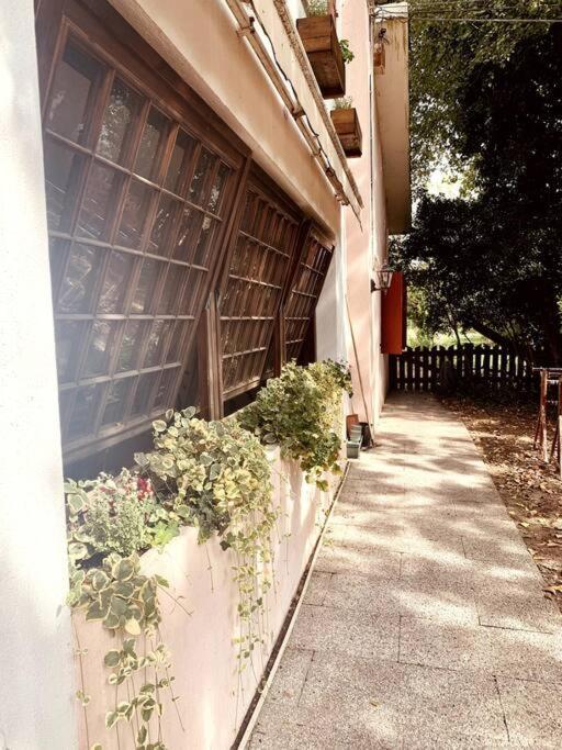 Raffinatezza Rustica Nella Campagna Veneziana Daire Canton  Dış mekan fotoğraf
