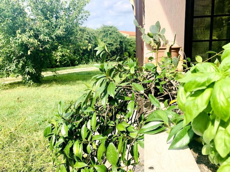 Raffinatezza Rustica Nella Campagna Veneziana Daire Canton  Dış mekan fotoğraf